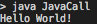 JavaCall output